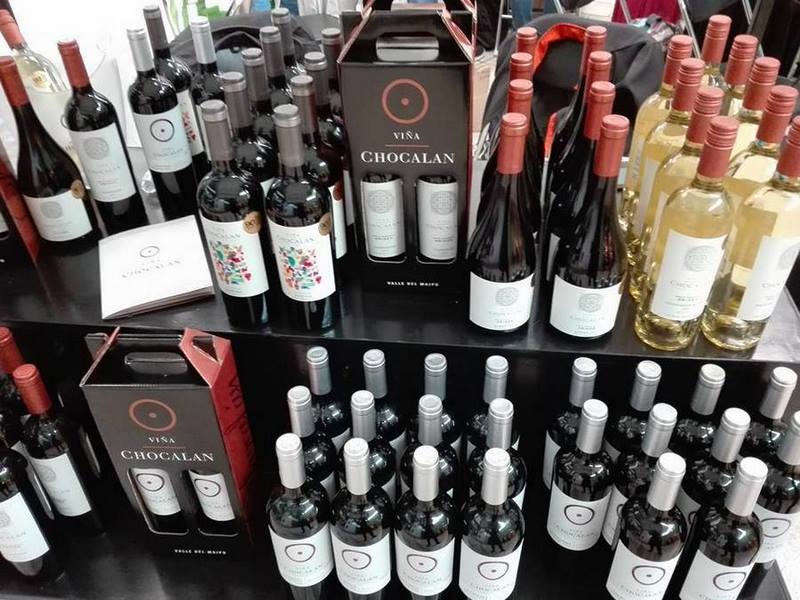 Fotografía 13 de Tours en Viña Chocalín, desgustacion de vinos en Melipilla, Metropolitana