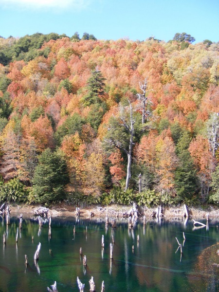Fotografía 4 de Trekking Reserva Nacional Los Bellotos en Linares, Maule