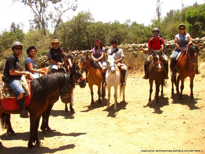 Disfruta de las Cabalgatas en la Montaña en Peñalolen, Metropolitana