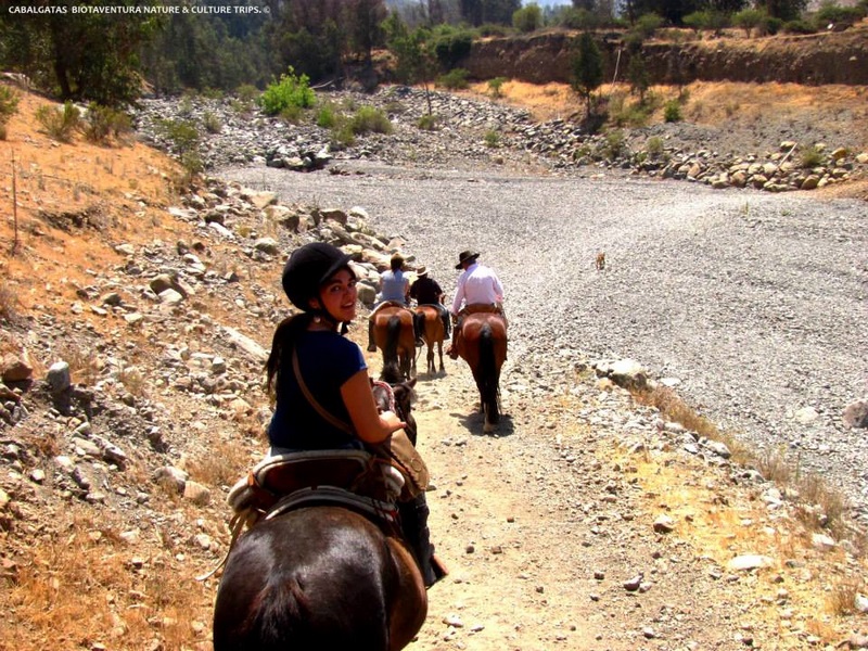 Fotografía 3 de Disfruta de las Cabalgatas en la Montaña en Peñalolen, Metropolitana