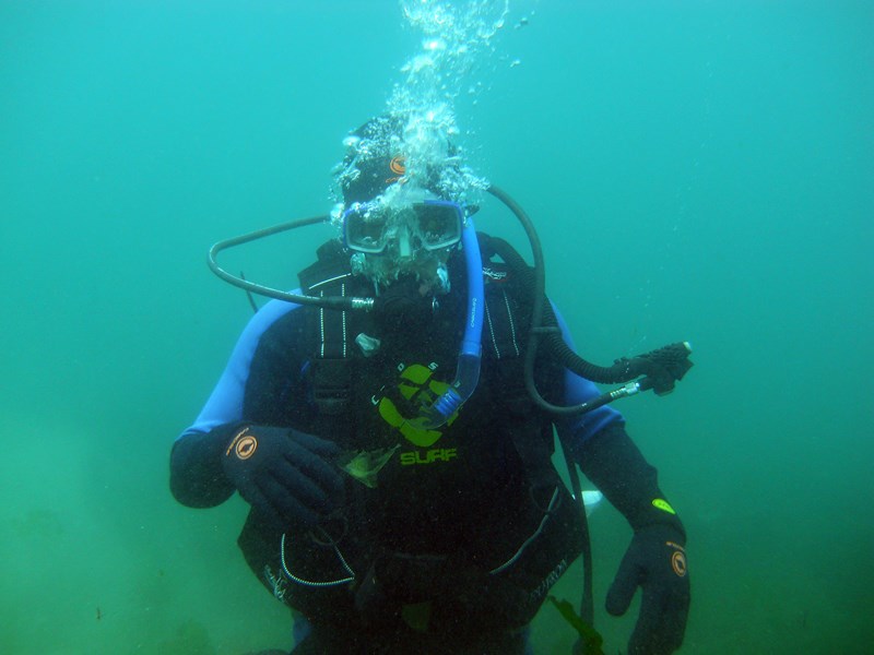 Fotografía 2 de Buceo en Antofagasta en Antofagasta, Antofagasta