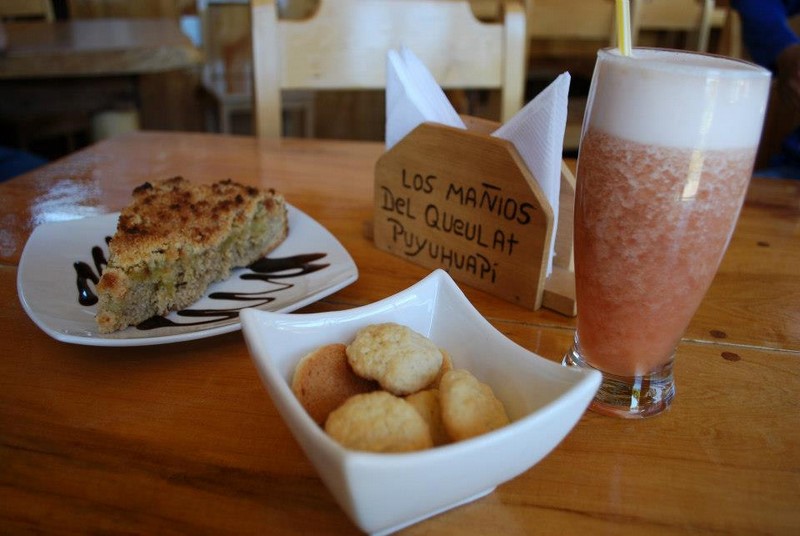 Fotografía 7 de Cafeteria y Restaurant en Puyuhuapi en Cisnes, Aysen