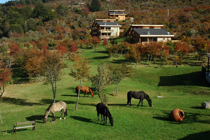 Fotografía 10 de Patagonia Norte... Descubra las maravillas de la belleza Austral... en Chile Chico, Aysen