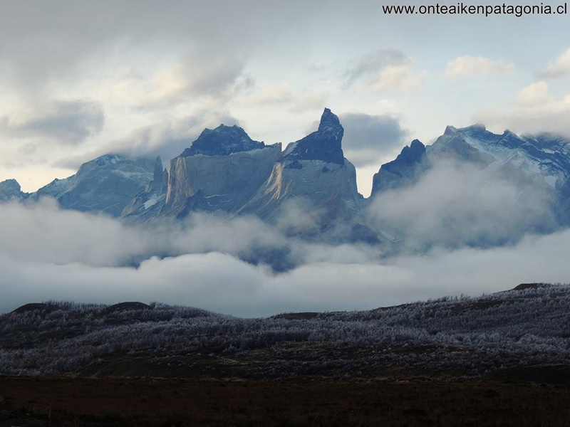 Fotografía 18 de Transporte de pasajeros en Torres del Payne en Puerto Natales, Magallanes