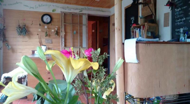 Fotografía 18 de Hostal La Conexión del Poeta en El Quisco, Valparaiso