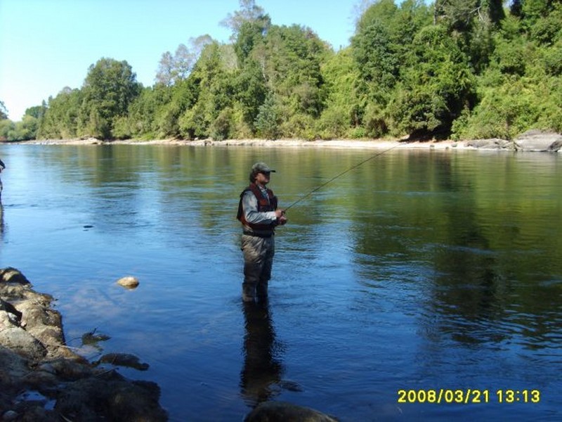 Fotografía 15 de Lodge de pesca en Villarrica Toltín Lodge en Villarrica, Araucania