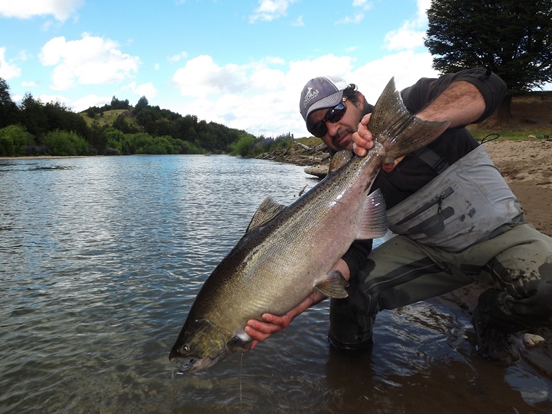 Fotografía 5 de Ríos Patagónicos es una empresa especializada en operaciones de pesca de gran  en Coyhaique, Aysen