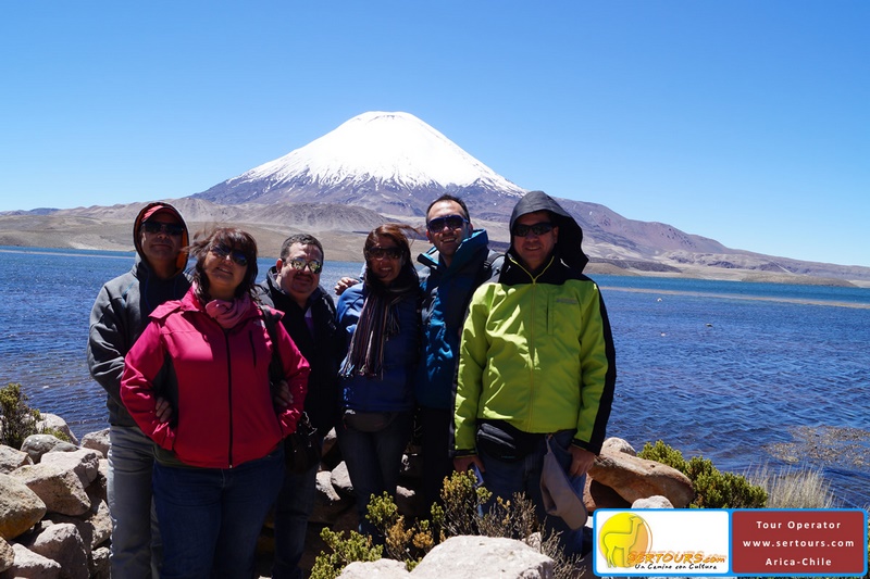 Fotografía 12 de Lago Chungarí en Arica, Arica Y Parinacota