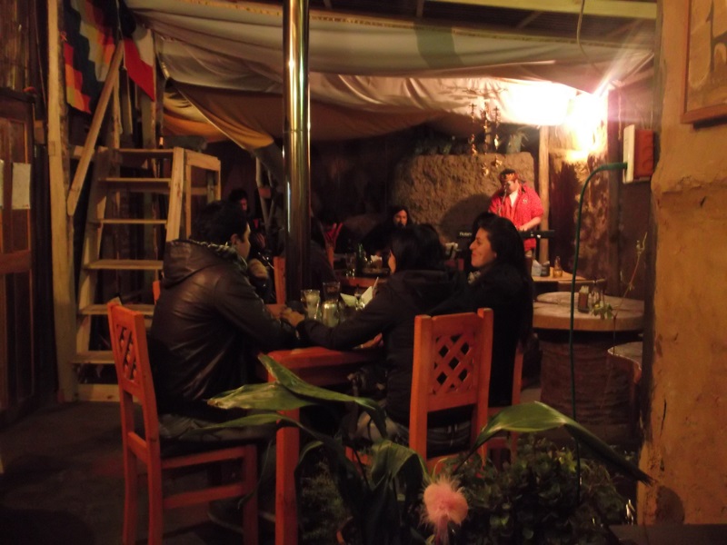 Fotografía 2 de Alimentación en Vicuña en Vicuña, Coquimbo