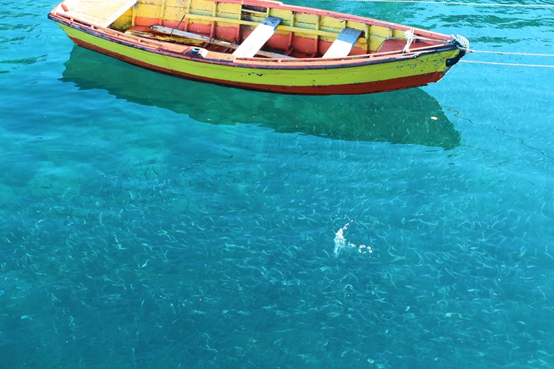 Fotografía 8 de Paseos Nauticos Lafen Mapu en San Juan De La Costa, Los Lagos
