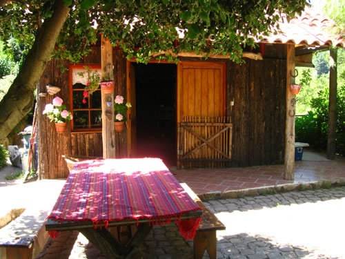 Fotografía 3 de Cabañas Lodge de Pesca Turismo La Polcura en San Fernando, Ohiggins
