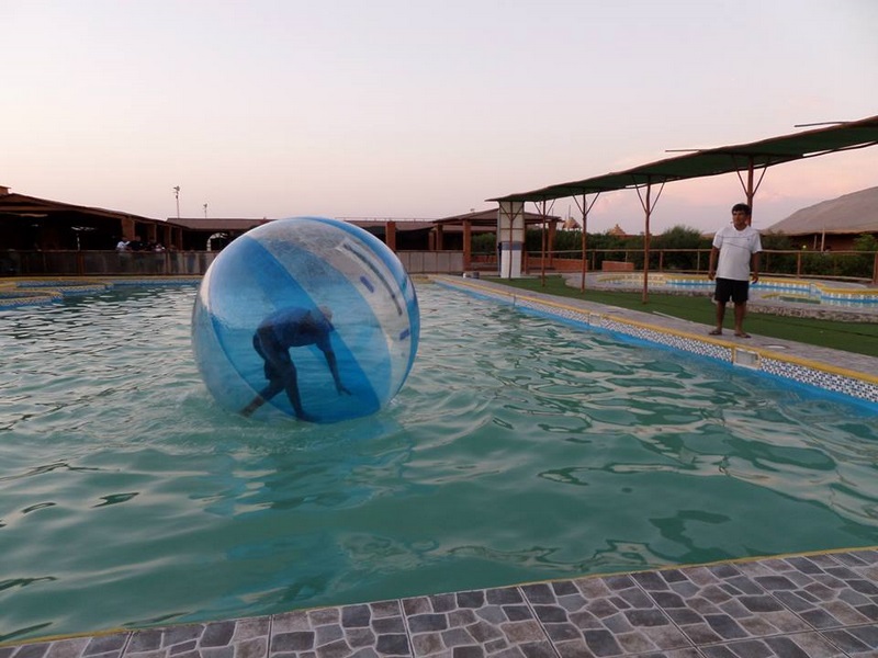 Fotografía 2 de Ven a festejar con nosotros!!! en Arica, Arica Y Parinacota