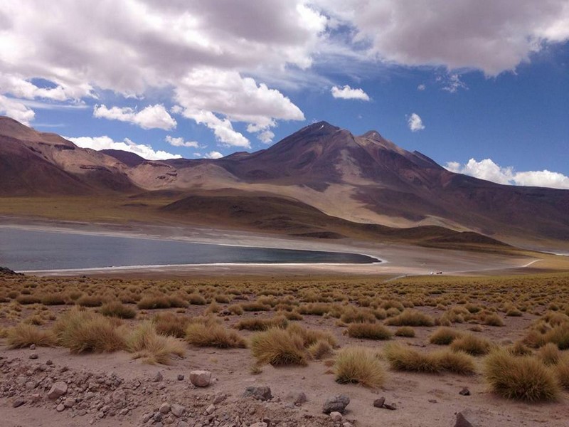 Fotografía 4 de Camping Waira San Pedro de Atacama en San Pedro De Atacama, Antofagasta