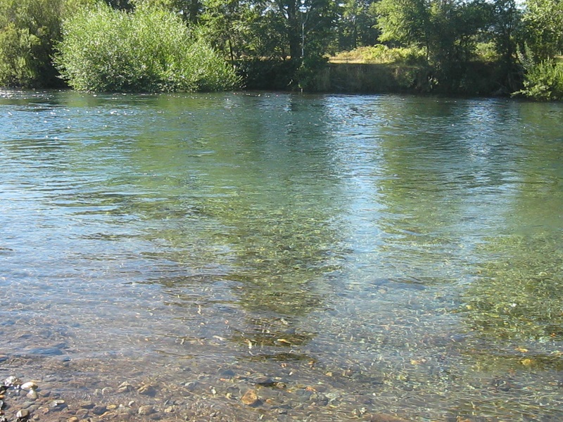 Fotografía 5 de Camping Los Canelos Pucón en Pucon, Araucania