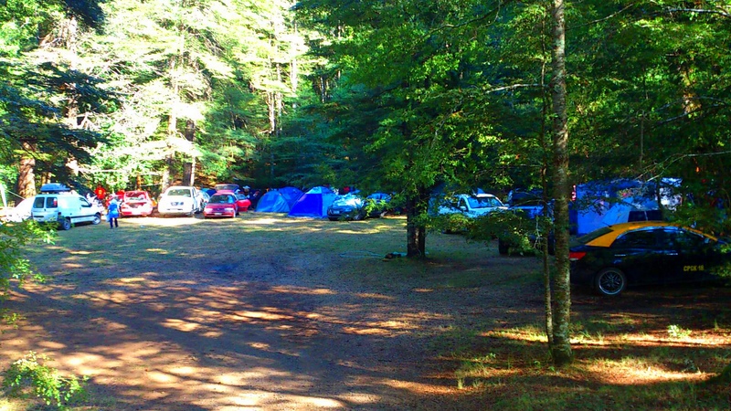 Fotografía 7 de Camping Los Canelos Pucón en Pucon, Araucania