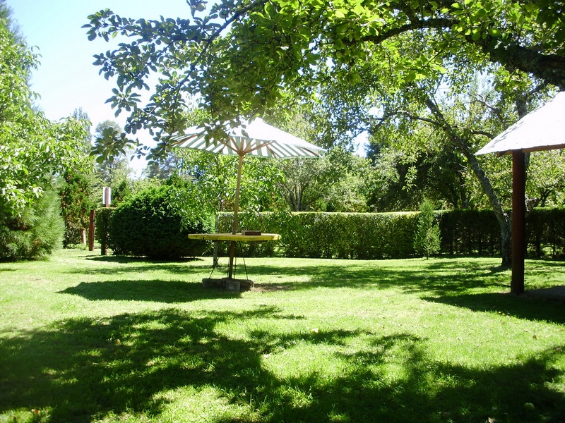 Fotografía 9 de Cabañas en Cunco Lago Colico en Cunco, Araucania