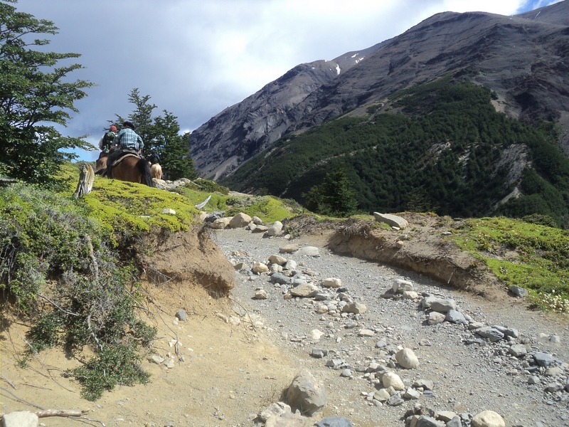 Fotografía 2 de Guía de trekking para brasileiros, portugueses e hispanohablantes en Torres Del Paine, Magallanes