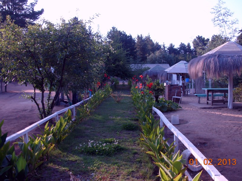 Fotografía 3 de Rancho Casanova - Camping en Viña del Mar Cabañas en Viña Del Mar, Valparaiso
