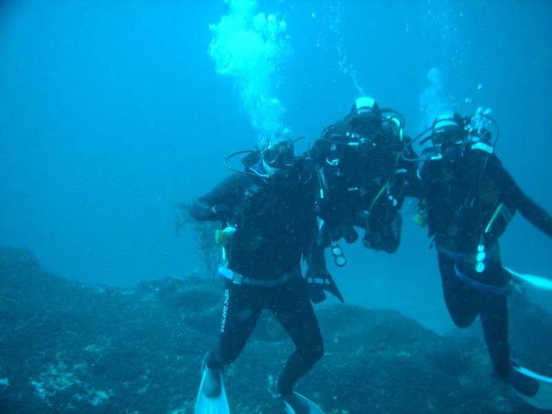 Escuela de Buceo Pleamarsub Tongoy Coquimbo en Coquimbo, Coquimbo