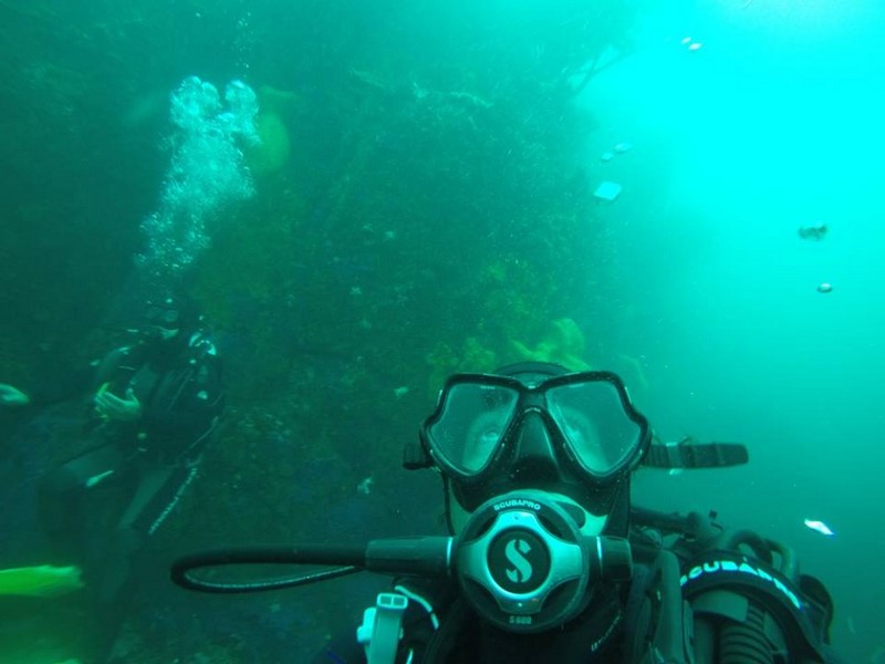 Fotografía 14 de Escuela de Buceo Pleamarsub Tongoy Coquimbo en Coquimbo, Coquimbo