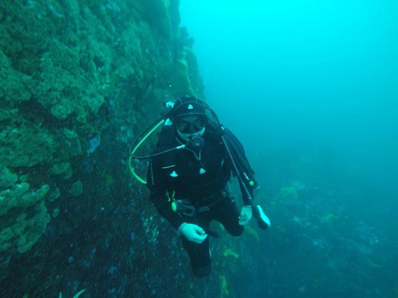Fotografía 17 de Escuela de Buceo Pleamarsub Tongoy Coquimbo en Coquimbo, Coquimbo