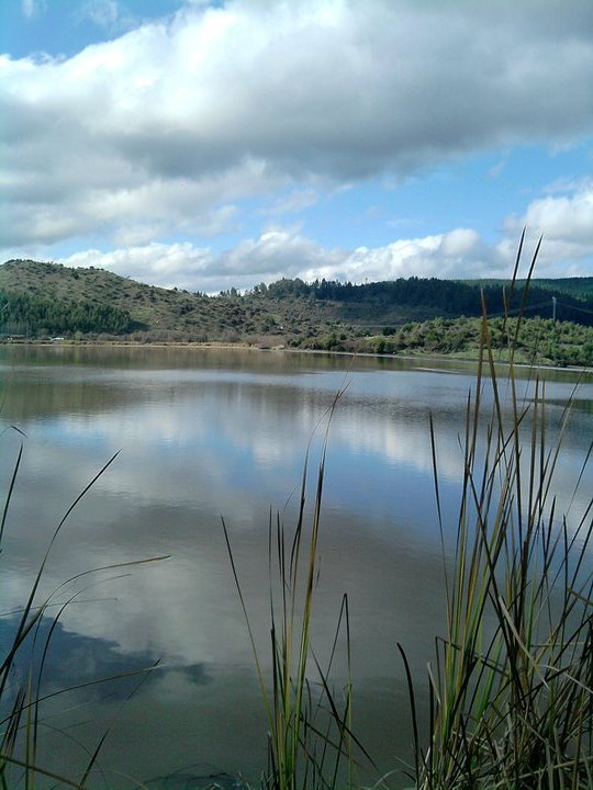 Fotografía 4 de Laguna Embrujo en Romeral, Maule