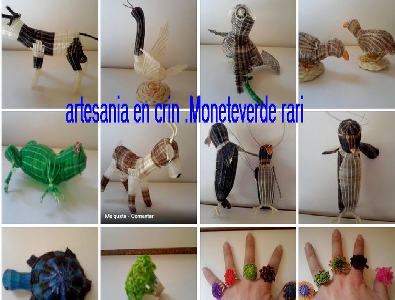 Fotografía 7 de Artesania en crin exclusividades Milsa en Colbun, Maule