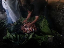 Fotografía 4 de Curanto al Hoyo. 6000 años de historia en Ancud, Los Lagos