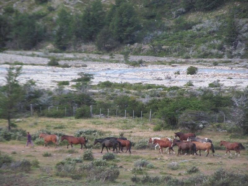 Fotografía 3 de Turismo San Lorenzo y Outdoor en Cochrane, Aysen