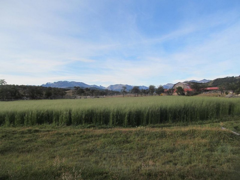 Fotografía 4 de Turismo San Lorenzo y Outdoor en Cochrane, Aysen