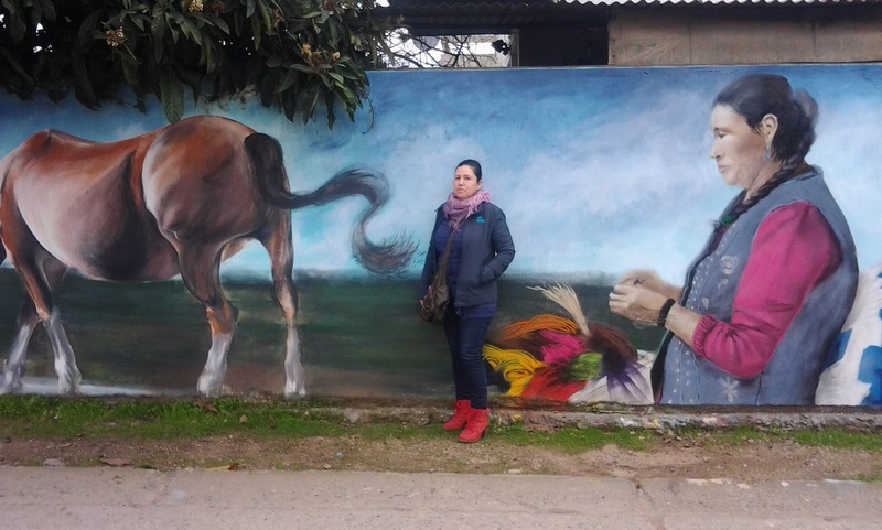 Fotografía 20 de Talleres de Artesania en Crin en Colbun, Maule