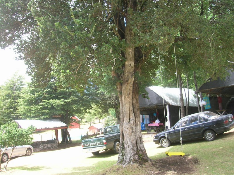 Fotografía 6 de Camping Huechuntu en Pucon, Araucania