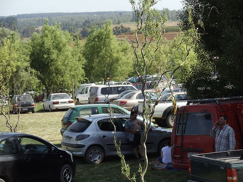 Fotografía 3 de Piscina y Camping Los Manantiales de Cumpeo en Rio Claro, Maule