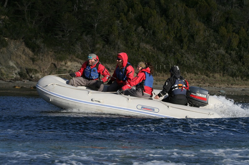 Fotografía 6 de Tours excursiones magellan strait Punta Arenas chile Estrecho de Magallanes Pata en Punta Arenas, Magallanes