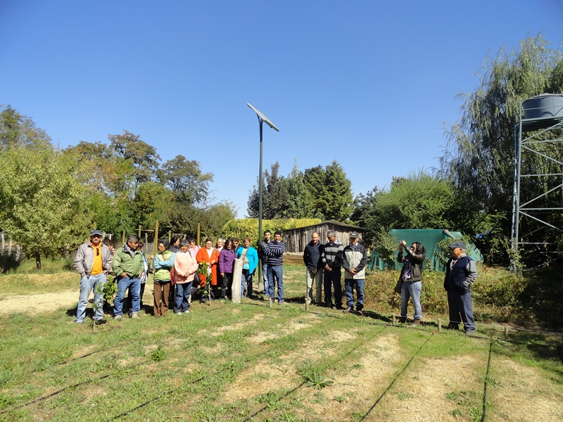 Turismo de Ecotecnologías y Permacultura en Linares, Maule