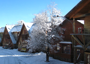 Fotografía 3 de Arriendo de Cabañas Camino Terma de Chillan en Pinto, Bio Bio