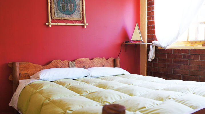 Fotografía 11 de Hostal Triskel / Pisco Elqui en Paihuano, Coquimbo