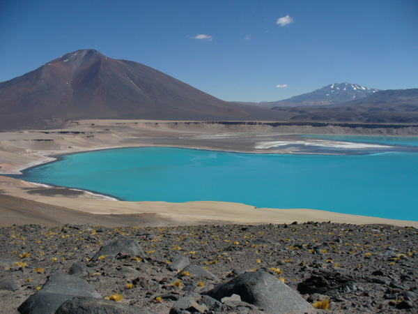 Fotografía 3 de Tours Laguna Verde - Laguna Santa Rosa y Volcín Ojos del Salado en Copiapo, Atacama