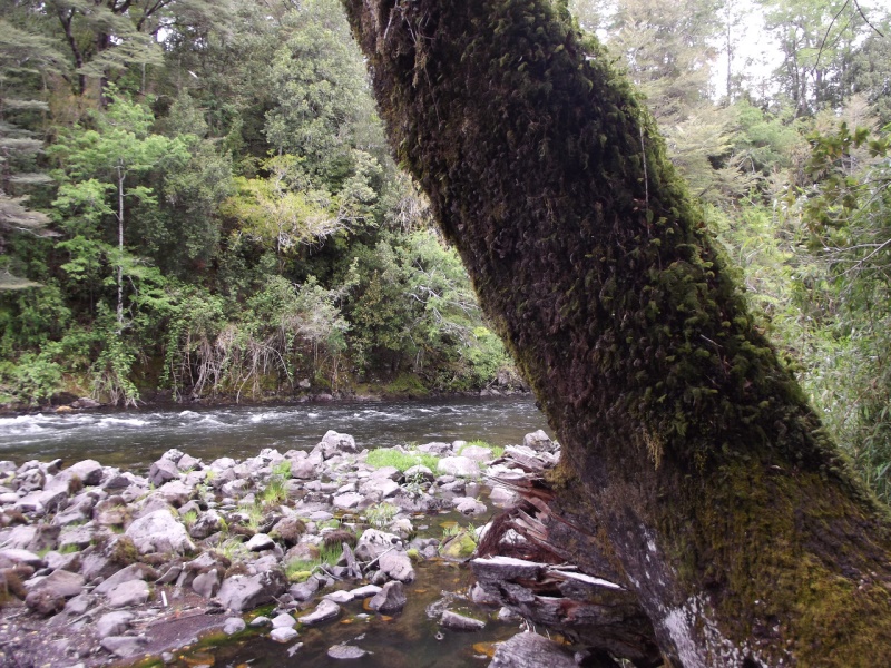 Fotografía 16 de Termas Liucura en Pucon, Araucania
