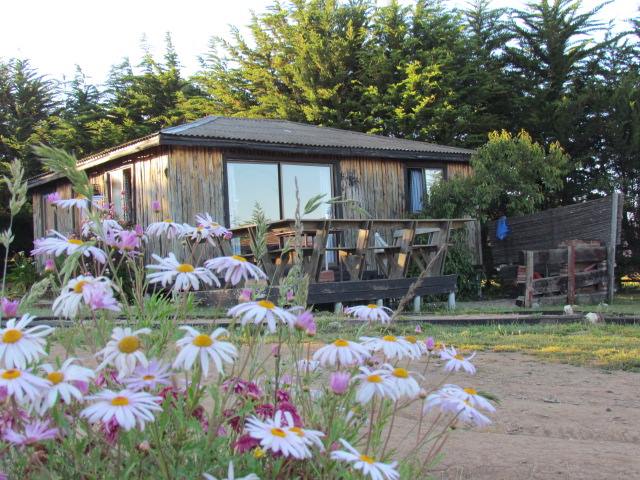Fotografía 12 de Cabañas de Turismo, Hostal Punta de Lobos & Lodge surf en Pichilemu, Ohiggins