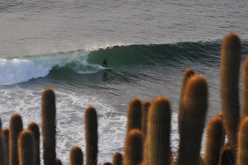 Fotografía 7 de Cabañas de Turismo, Hostal Punta de Lobos & Lodge surf en Pichilemu, Ohiggins