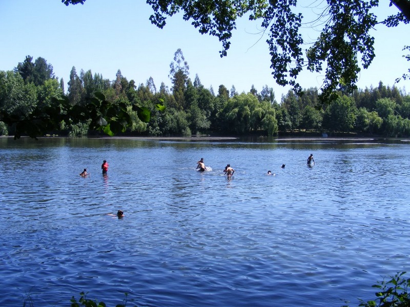 Fotografía 7 de Camping San Javier - Los Angeles en Los Angeles, Bio Bio