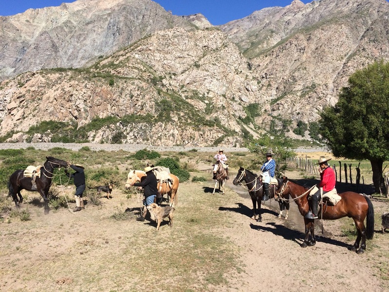 Cabalgatas Valle Río Pangal VI Region en Machali, Ohiggins