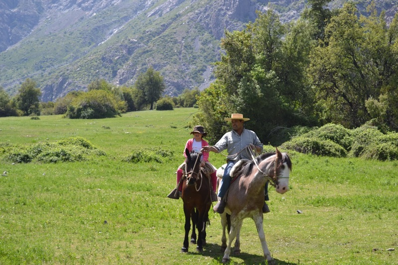 Fotografía 10 de Cabalgatas Valle Río Pangal VI Region en Machali, Ohiggins