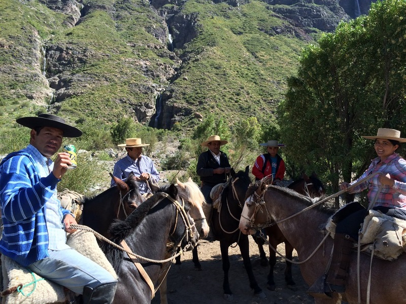 Fotografía 2 de Cabalgatas Valle Río Pangal VI Region en Machali, Ohiggins