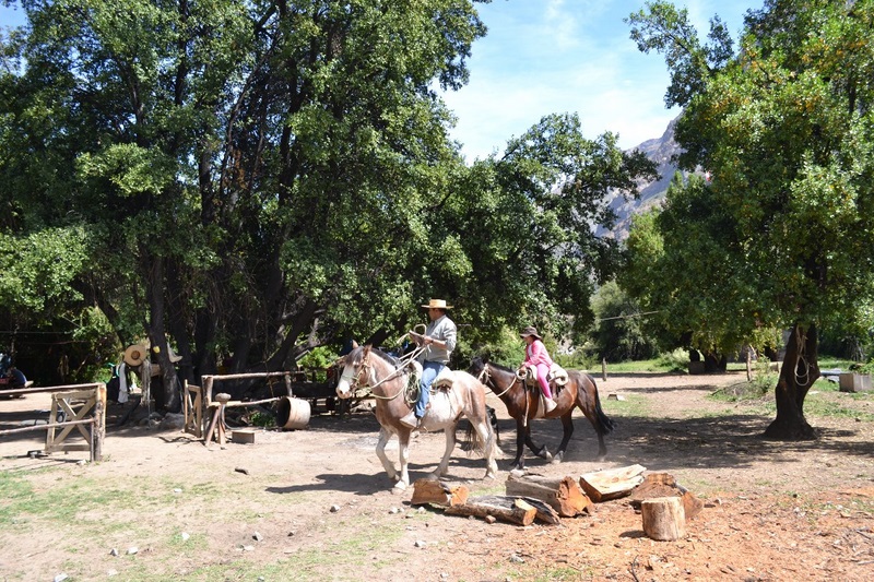 Fotografía 5 de Cabalgatas Valle Río Pangal VI Region en Machali, Ohiggins