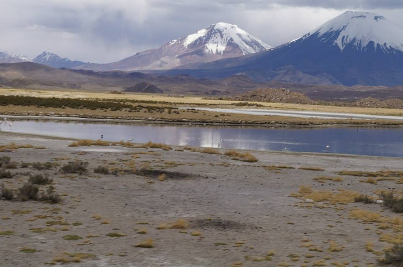 Fotografía 8 de Programas de Turismo en Arica y el Altiplano Chileno en Arica, Arica Y Parinacota