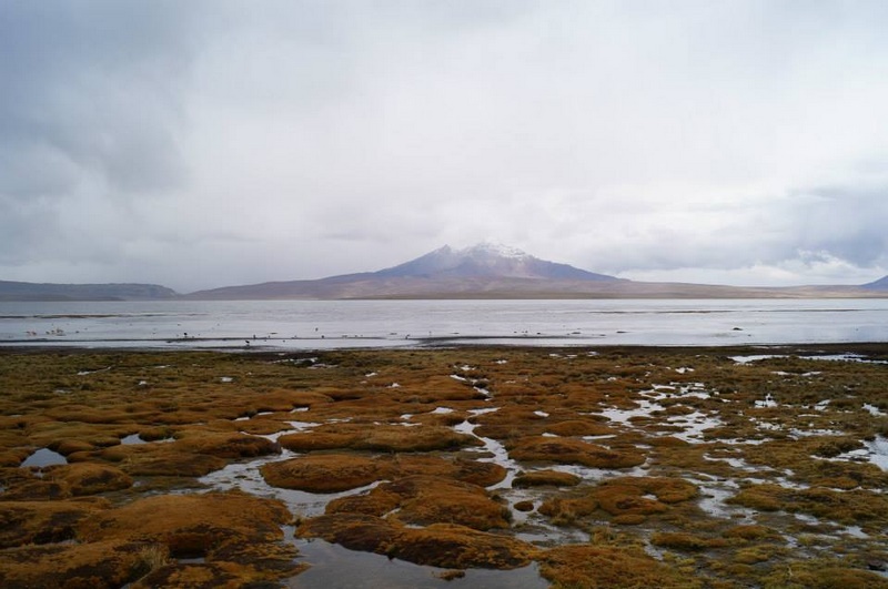 Fotografía 10 de Programas de Turismo en Arica y el Altiplano Chileno en Arica, Arica Y Parinacota