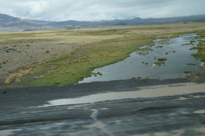 Fotografía 7 de Programas de Turismo en Arica y el Altiplano Chileno en Arica, Arica Y Parinacota