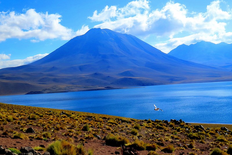 Turismo Kaulles, San Pedro de Atacama. en Antofagasta, Antofagasta